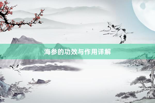 海参的功效与作用详解